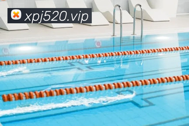 新葡京娱乐城官网APP 封面图